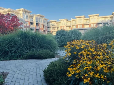 Outdoor Patio Photo of 210 4280 Moncton Street, Richmond, BC