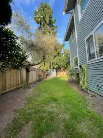 Aerial View of 4734 Cedar Tree Lane, Ladner, BC