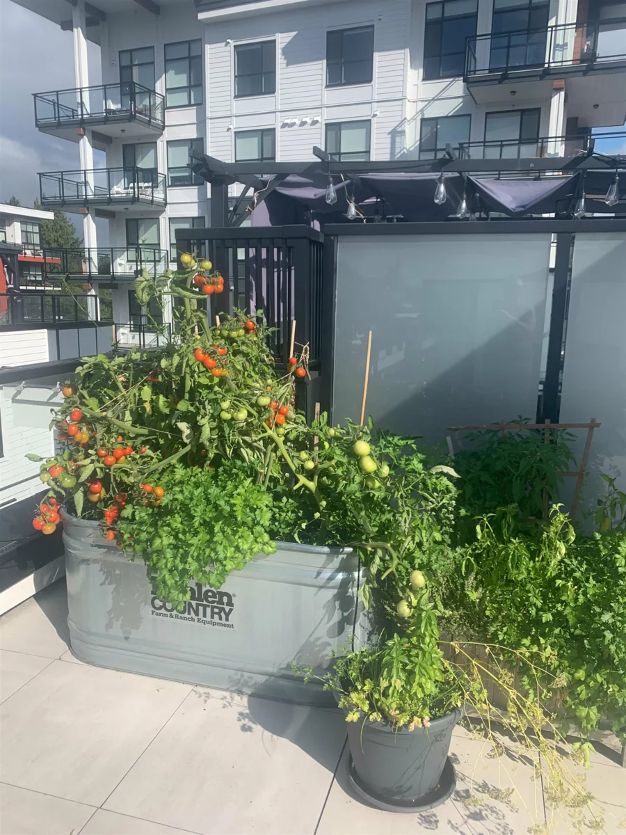 Garden / Landscaping Photo of 16 5476 Brydon Crescent, Langley, BC