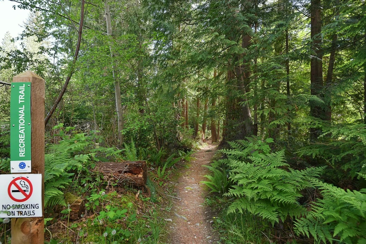 Neighborhood Park Photo Near 2855 Lacey Place, Roberts Creek, BC
