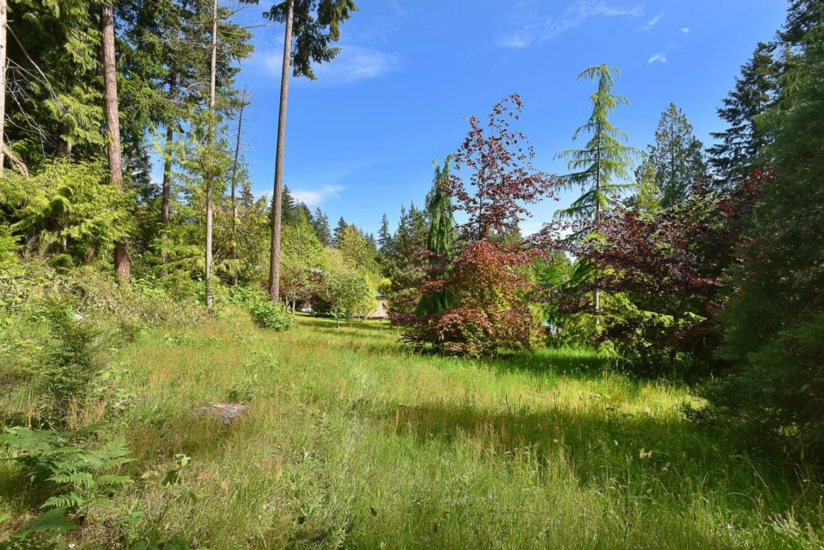 Outdoor Patio Photo of 2855 Lacey Place, Roberts Creek, BC