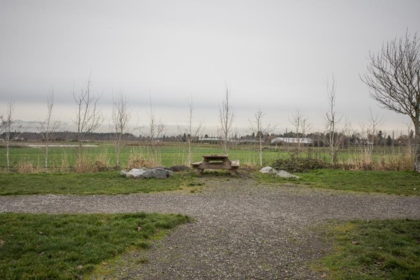 Backyard Photo of 6 13160 Princess Street, Richmond, BC