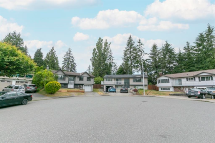 Neighborhood Park Photo Near 20272 46a Avenue, Langley, BC