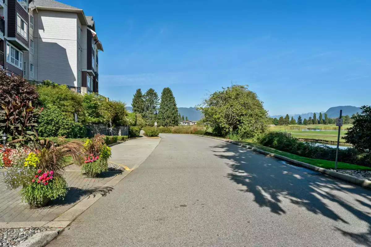 Backyard Photo of 113 19677 Meadow Gardens Way, Pitt Meadows, BC