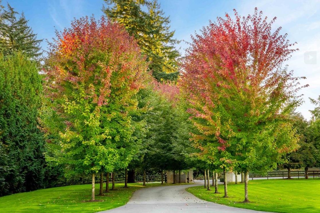 Fitness Center Photo Near 7670 240 Street, Langley, BC