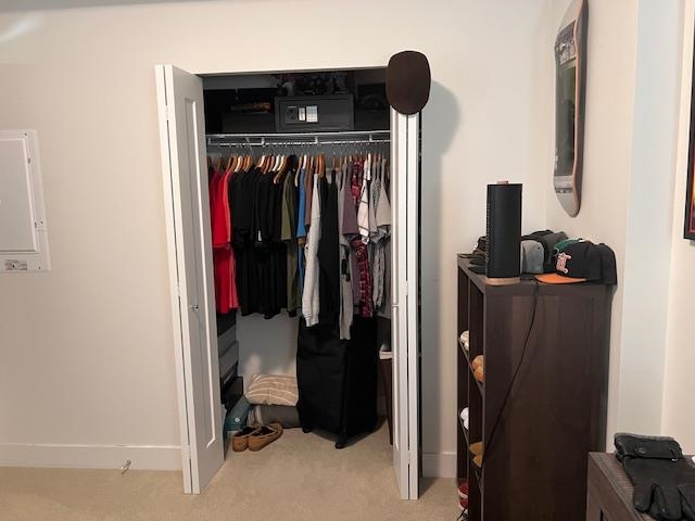 Walk-In Closet Photo of A431 20727 Willoughby Town Centre Drive, Langley, BC