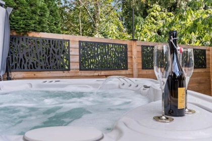 Powder Room Photo of 21 46745 Hudson Road, Chilliwack, BC
