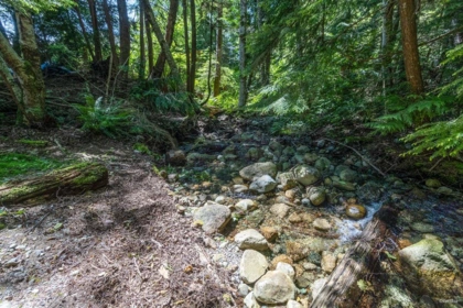 Neighborhood Park Photo Near 746 Upper Crescent, Britannia Beach, BC