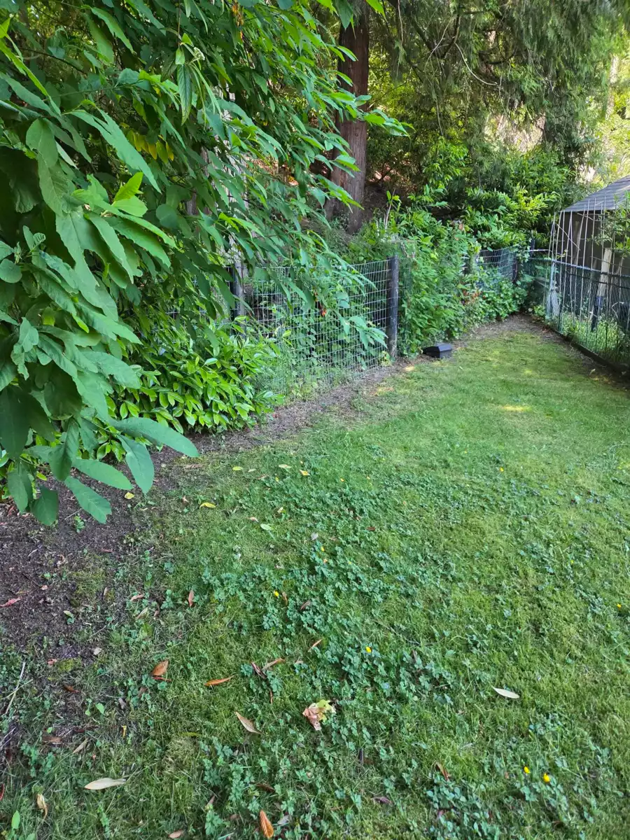 Garage Interior Photo of 77 19630 Pinyon Lane, Pitt Meadows, BC