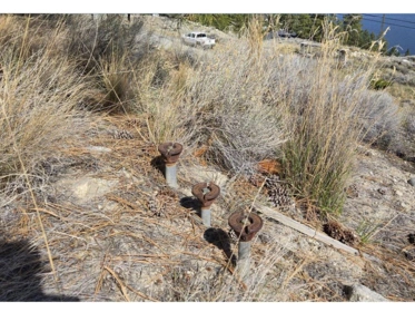 Laundry Room Photo of 6403 Monck Park Road, No City Value, BC