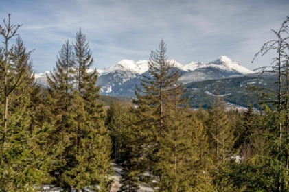 Breakfast Nook Photo of 8706 Wedgeview Place, Whistler, BC
