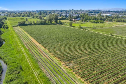 15683 64 Avenue, Surrey, BC, Surrey — Land for sale