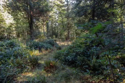 Aerial View of 172B Burrill Road, Galiano Island, BC