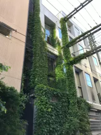 203 234 E 5th Avenue, Vancouver, BC, Vancouver — Apartment/Condo for sale
