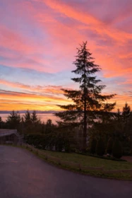 Neighborhood Park Photo Near 13 2979 Panorama Drive, Coquitlam, BC