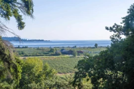 5242 Station Road, Surrey, BC