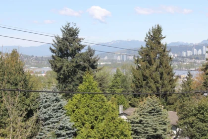 Aerial View of 11236 135 Street, Surrey, BC