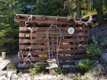 Backyard Photo of 7385 Gun Lake Road, Cadreb Other, BC