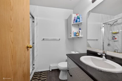 Aerial View of 9515 124a Street, Surrey, BC