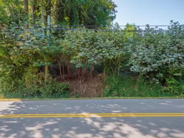 Pantry Photo of LOT 6 Marine Drive, Gibsons, BC