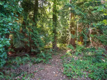 Walk-In Closet Photo of LOT 6 Marine Drive, Gibsons, BC