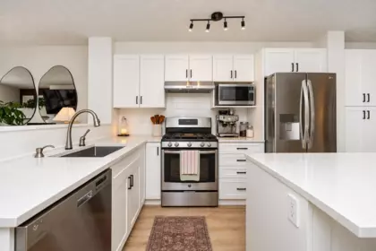 Pantry Photo of 42 20350 68 Avenue, Langley, BC