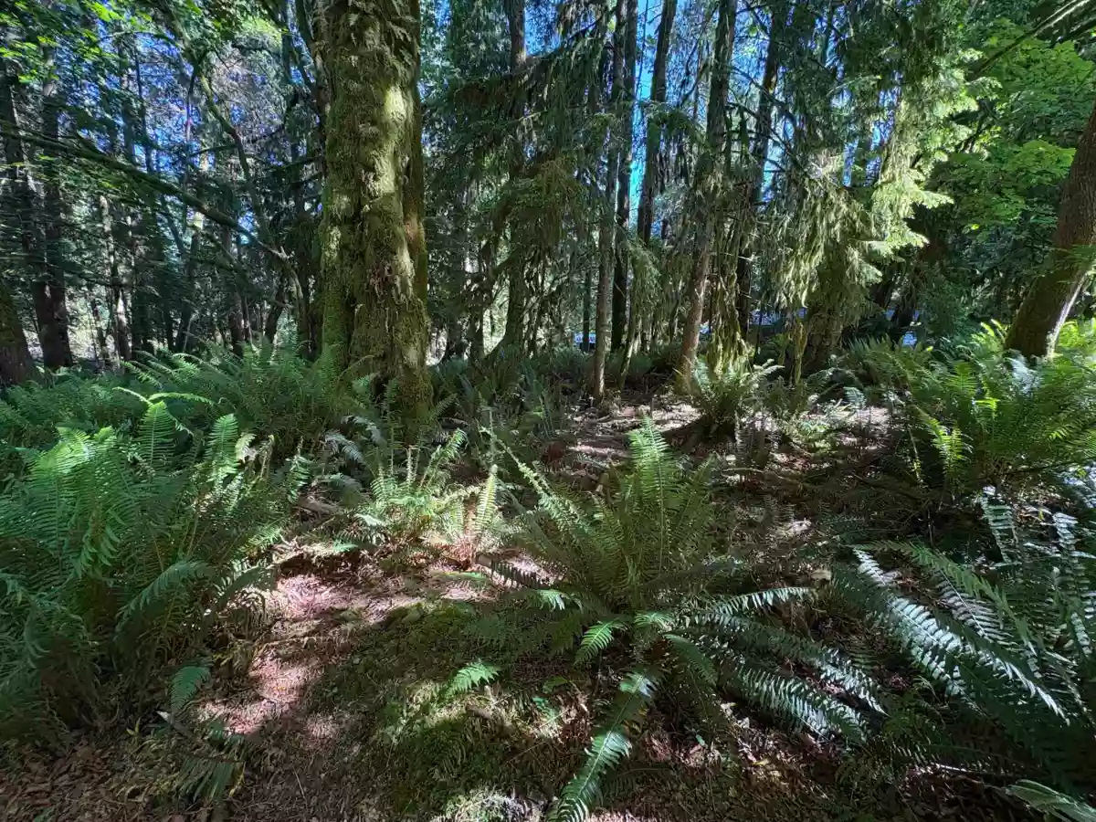 Bedroom 2 Photo of Lot 64 984 West Bay Road, Gambier Island, BC