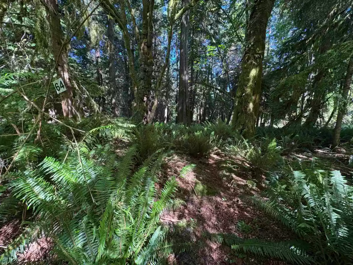 Bedroom 3 Photo of Lot 64 984 West Bay Road, Gambier Island, BC