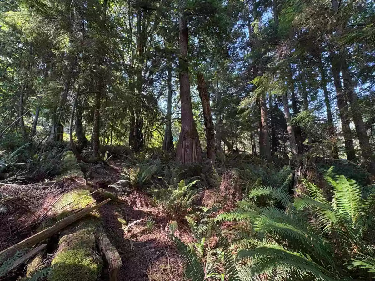 Breakfast Nook Photo of Lot 64 984 West Bay Road, Gambier Island, BC