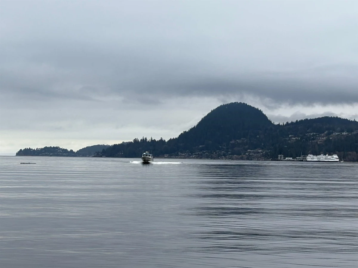Entry Foyer Photo of Lot 64 984 West Bay Road, Gambier Island, BC