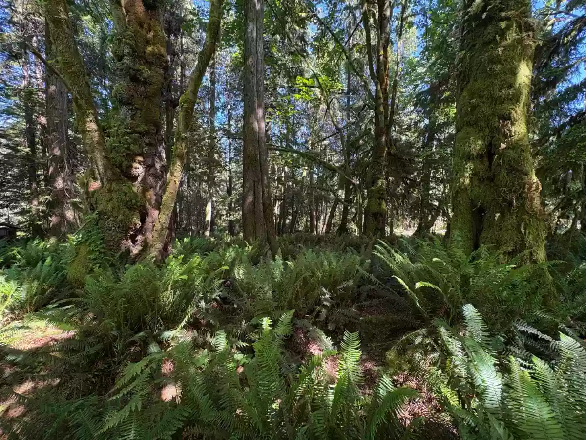 Kitchen Island Photo of Lot 64 984 West Bay Road, Gambier Island, BC