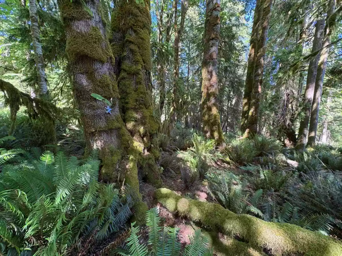 Kitchen Photo of Lot 64 984 West Bay Road, Gambier Island, BC