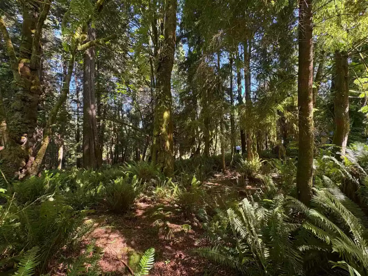 Living Room Photo of Lot 64 984 West Bay Road, Gambier Island, BC