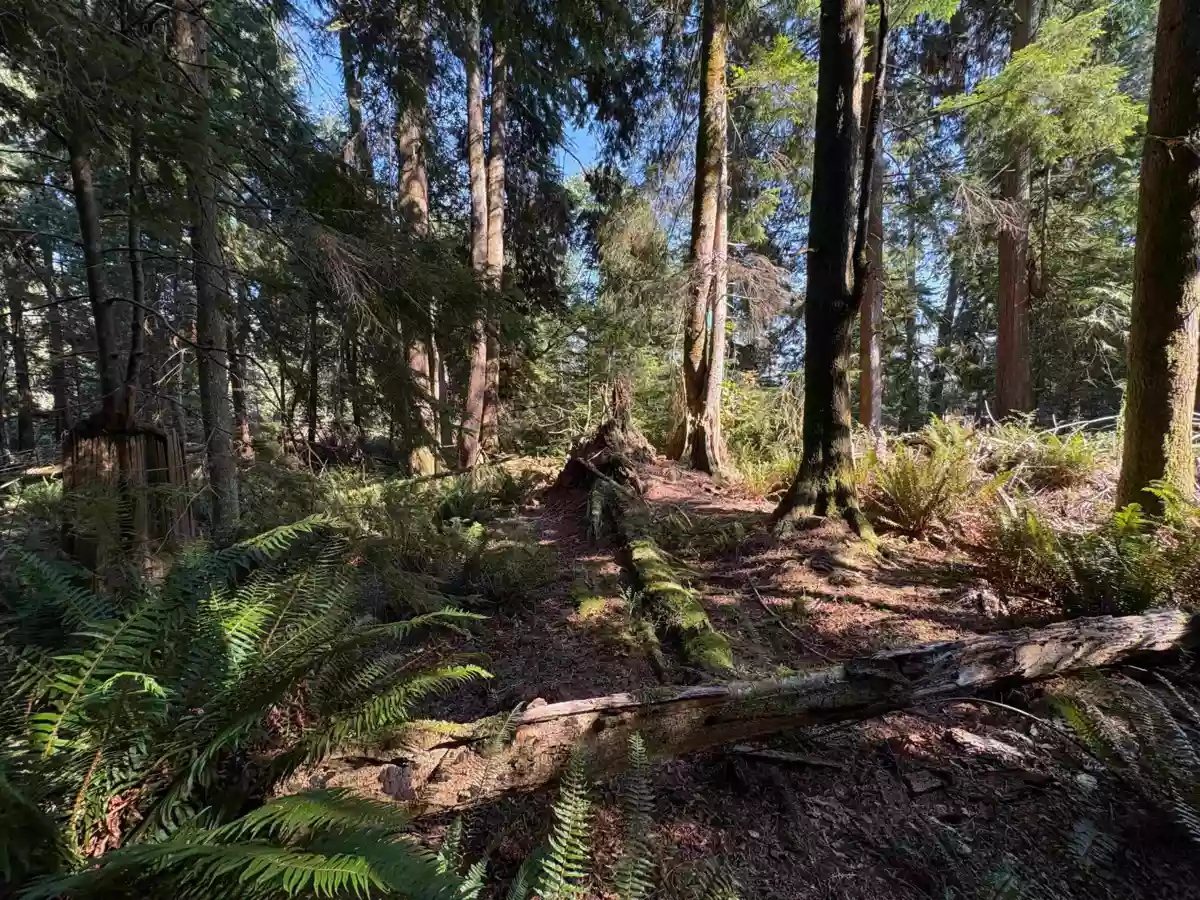 Pantry Photo of Lot 64 984 West Bay Road, Gambier Island, BC