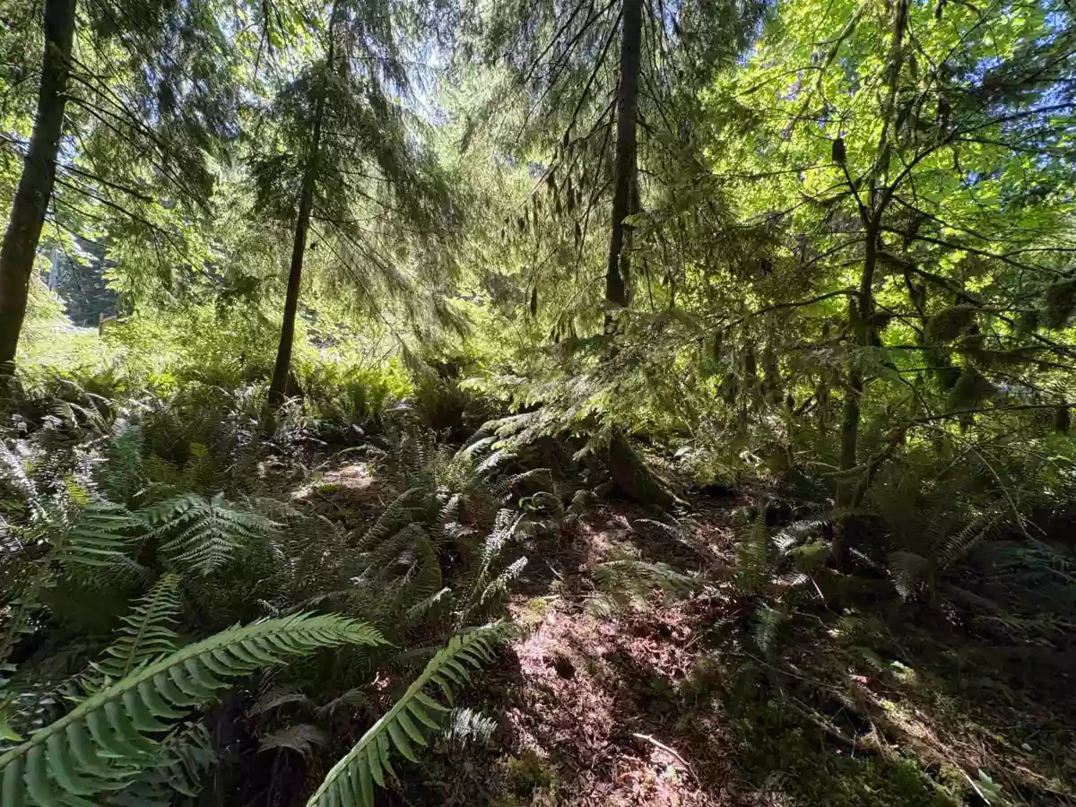 Primary Bathroom Photo of Lot 64 984 West Bay Road, Gambier Island, BC