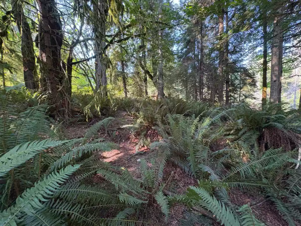 Primary Bedroom Photo of Lot 64 984 West Bay Road, Gambier Island, BC