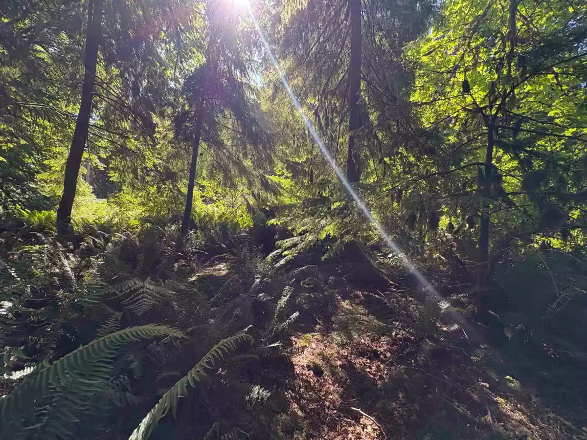 Walk-In Closet Photo of Lot 64 984 West Bay Road, Gambier Island, BC