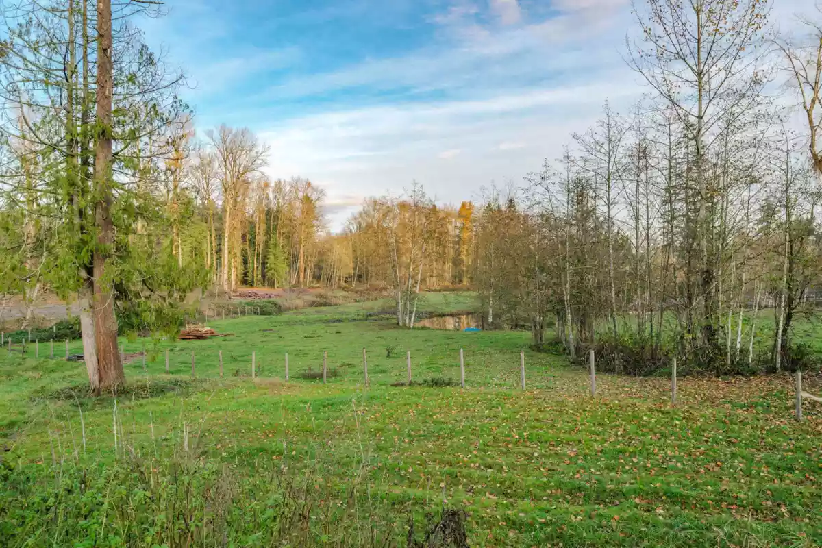 Community Amenities Photo (Clubhouse) of 22801 8 Avenue, Langley, BC