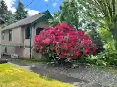 MLS R3033628