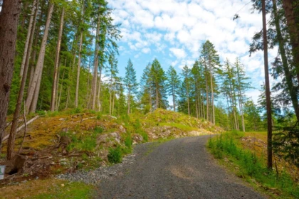 Lot 7 Innisfree Lane, Bowen Island, BC, Bowen Island — Land for sale