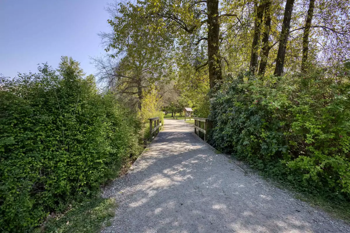 Basement Recreation Room Photo of 1213 Grover Avenue, Coquitlam, BC