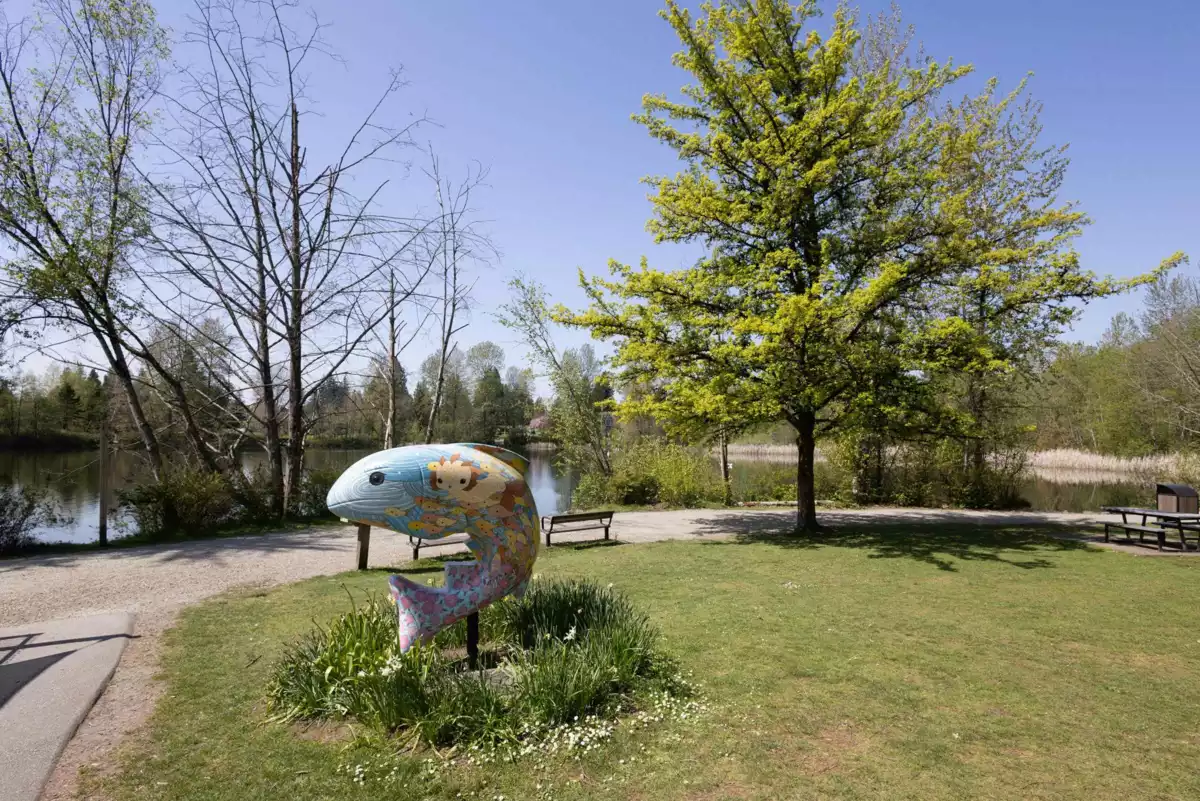 Entry Foyer Photo of 1213 Grover Avenue, Coquitlam, BC