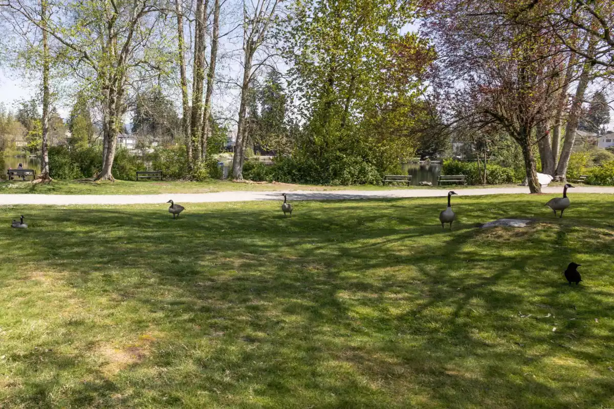 Office / Den Photo of 1213 Grover Avenue, Coquitlam, BC