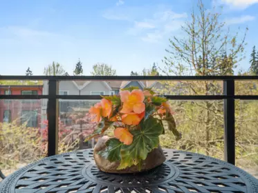 301 23255 Billy Brown Road, Langley, BC