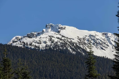 Office / Den Photo of 2924 Big Timber Court, Whistler, BC