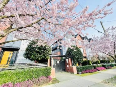 Garden / Landscaping Photo of 35 6868 Burlington Avenue, Burnaby, BC