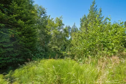 Street View Photo of 7949 Redrooffs Road, Halfmoon Bay, BC