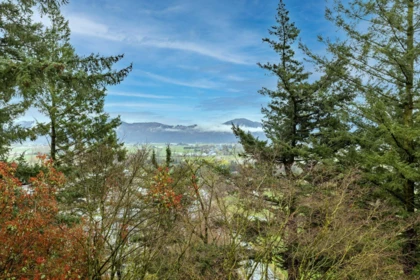 Playground / Recreational Area Near 2055 Lion Court, Abbotsford, BC