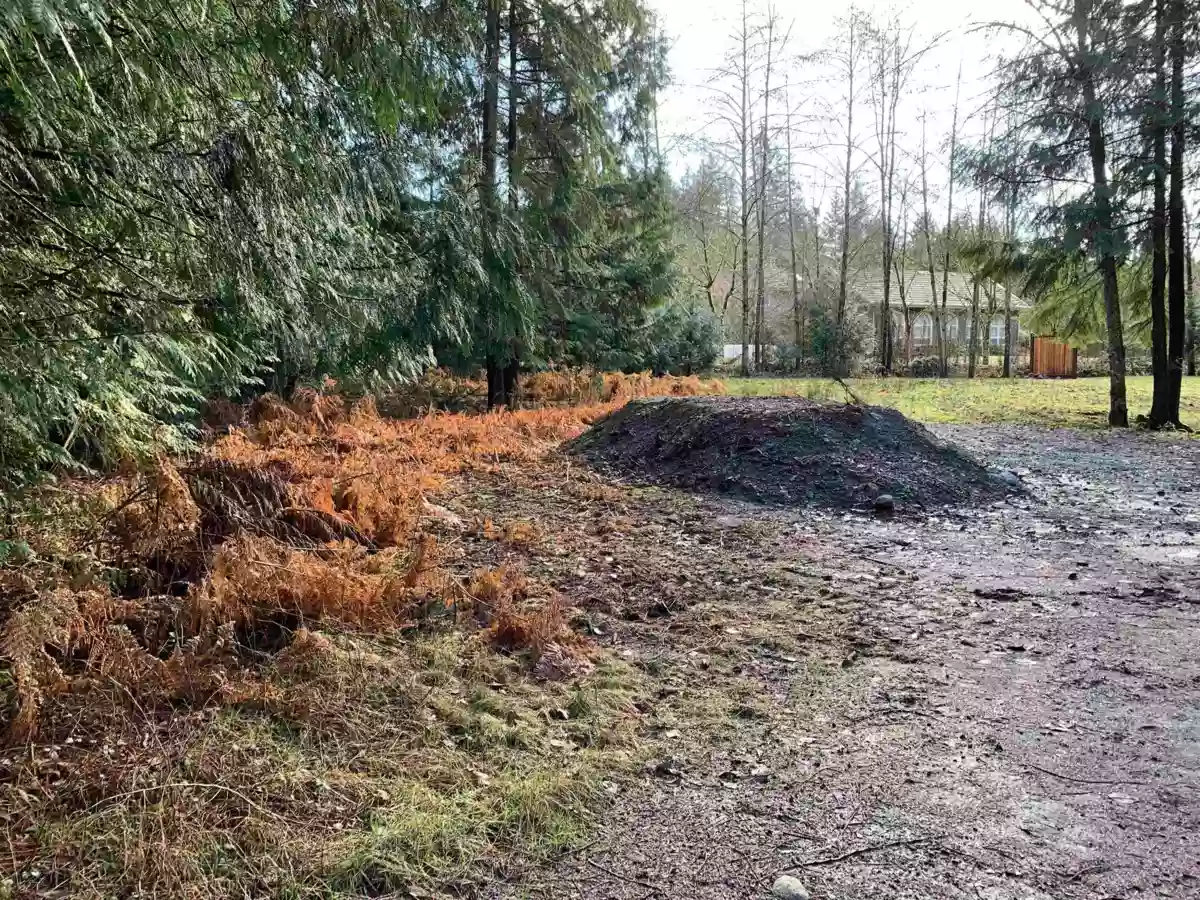 Bedroom 2 Photo of 2490 Leggett Drive, Anmore, BC