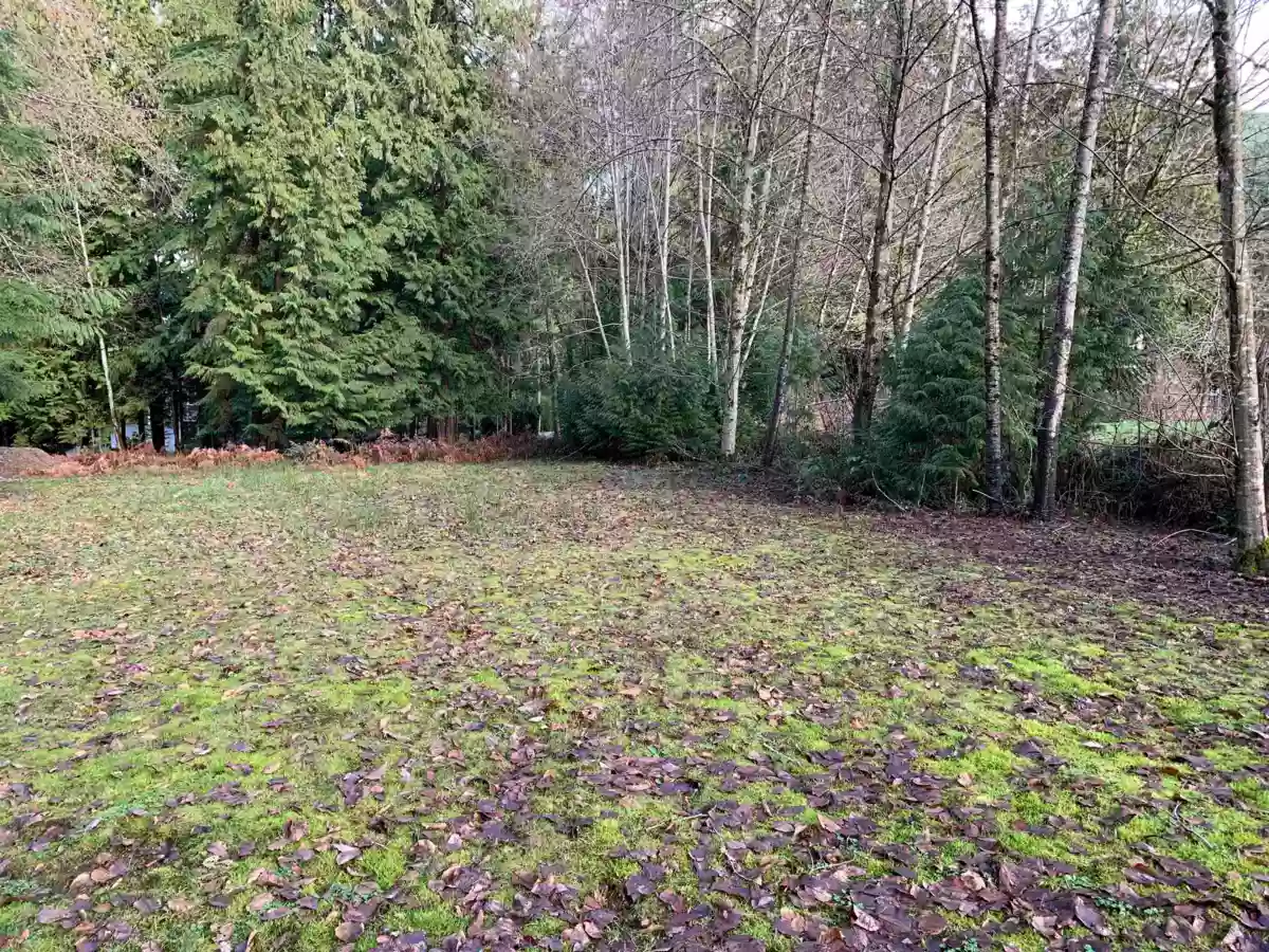 Pantry Photo of 2490 Leggett Drive, Anmore, BC